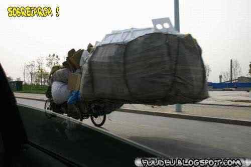 A arte de transportar sobrecarga | Animais | bicicleta, bizarrice, bizarro, carga, china, curioso, índia, maluco, moto, pesado