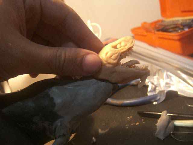 Aqua Rex parte 2 - Cobrindo com massa CIMG0518 | Arte | Arte, boneco, dicas, dinossauro, escultura, monstro
