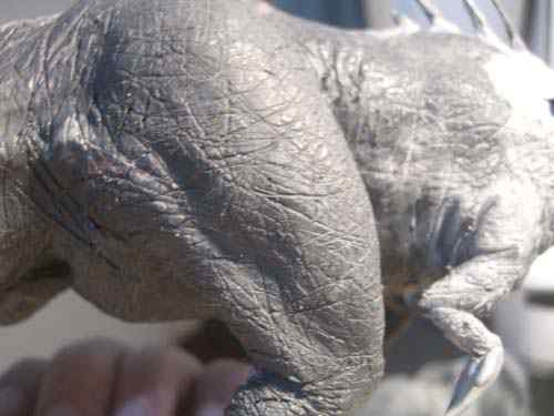 Aqua Rex parte 3 - O acabamento CIMG0594 | Arte | Arte, boneco, curioso, dinossauro, escultura