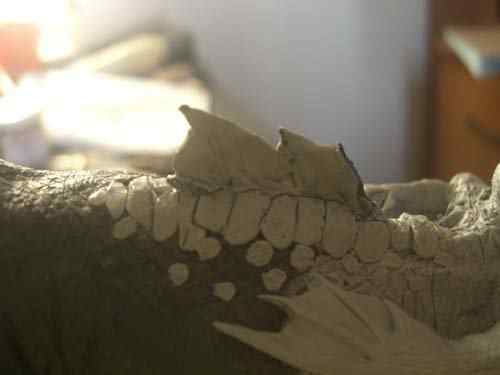Aqua Rex parte 3 - O acabamento CIMG0604 | Arte | Arte, boneco, curioso, dinossauro, escultura