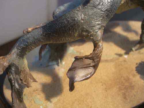 Aqua Rex 4 - Finalização e pintura CIMG0629 | Arte | dicas, dinossauro, escultura, massa, monstro