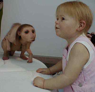 Mestres do hiper realismo Australia PatriciaPiccinini1 | Arte | Arte, curioso, escultura, incrível, pintura