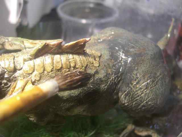 Aqua Rex - Parte final CIMG0960 | Arte | boneco, dinossauro, escultura, monstro