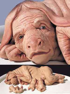 Mestres do hiper realismo patricia piccinini | Arte | Arte, curioso, escultura, incrível, pintura