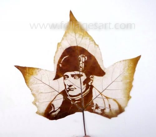 Leaf carving - a arte de esculpir em folhas 20091222143527990 | Arte | Arte, bizarro, china, chinês, curioso, folhas, incrível, maluco