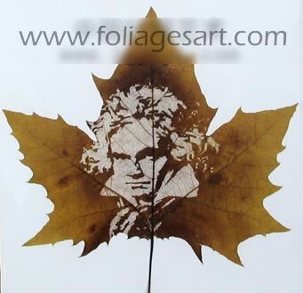 Leaf carving - a arte de esculpir em folhas 20091222143725216 | Arte | Arte, bizarro, china, chinês, curioso, folhas, incrível, maluco