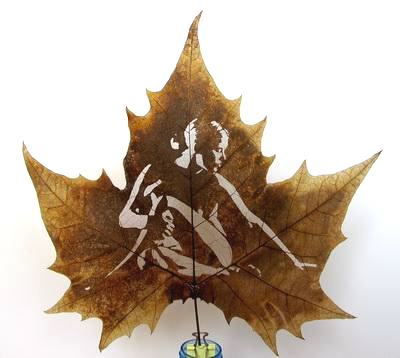 Leaf carving - a arte de esculpir em folhas DCC | Arte | Arte, bizarro, china, chinês, curioso, folhas, incrível, maluco