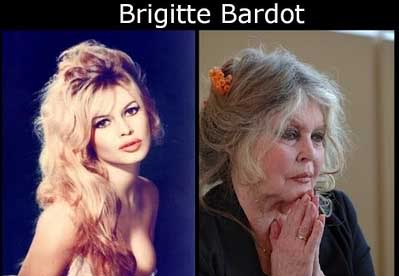 Celebridades ontem e hoje bbardot | Curiosidades | bizarro, celebridades, curioso, feio, idade, velho