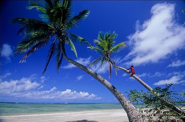 Dez ilhas interessantes boipeba | Curiosidades | curioso, dicas, ilha, incrível, turismo