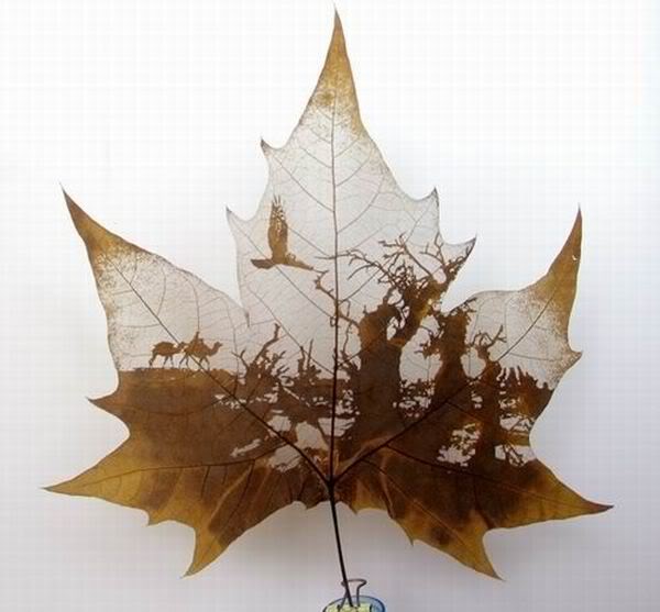 Leaf carving - a arte de esculpir em folhas leaves carving masterpieces 06 | Arte | Arte, bizarro, china, chinês, curioso, folhas, incrível, maluco