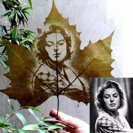 Leaf carving - a arte de esculpir em folhas mail2 | Arte | Arte, bizarro, china, chinês, curioso, folhas, incrível, maluco
