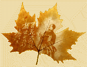 Leaf carving - a arte de esculpir em folhas mst002 | Arte | Arte, bizarro, china, chinês, curioso, folhas, incrível, maluco