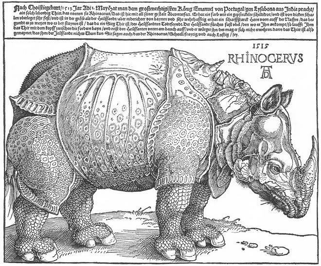 Fotos de fantasmas Rhinocervs1515 AlbrechtDrer | Arte | curioso, estranho, fantasmas, fotografia, incrível, medo, TCI