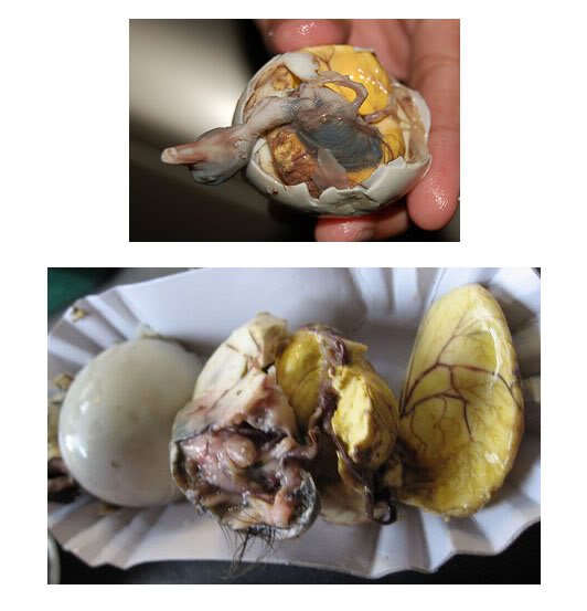 Top 10 das comidas mais nojentas do mundo balut | Curiosidades | animais, bichos, bizarrice, bizarro, comida, curioso, estranho, grotesco, nojento