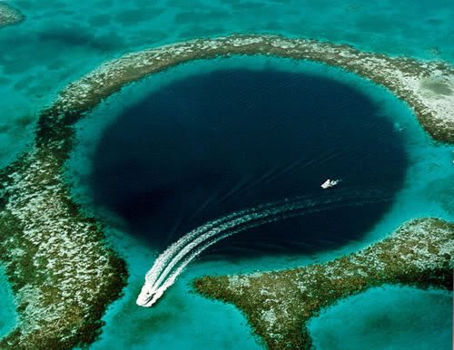 O grande buraco azul 20bur | Animais | curioso, dicas, incrível, mergulho