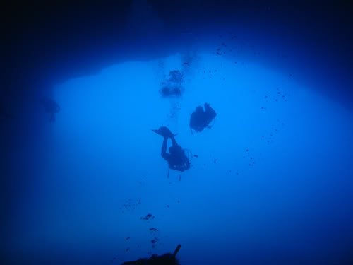 O grande buraco azul BlueHole | Animais | curioso, dicas, incrível, mergulho
