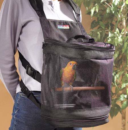 Coisas que não se vê todos os dias bird carrier | Animais | animais, bichos, bizarro, curioso, estranho