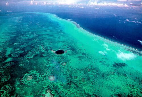 O grande buraco azul bur | Animais | curioso, dicas, incrível, mergulho