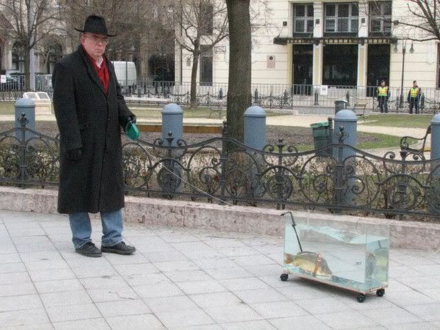 Coisas que não se vê todos os dias daily picdump 363 01 | Animais | animais, bichos, bizarro, curioso, estranho