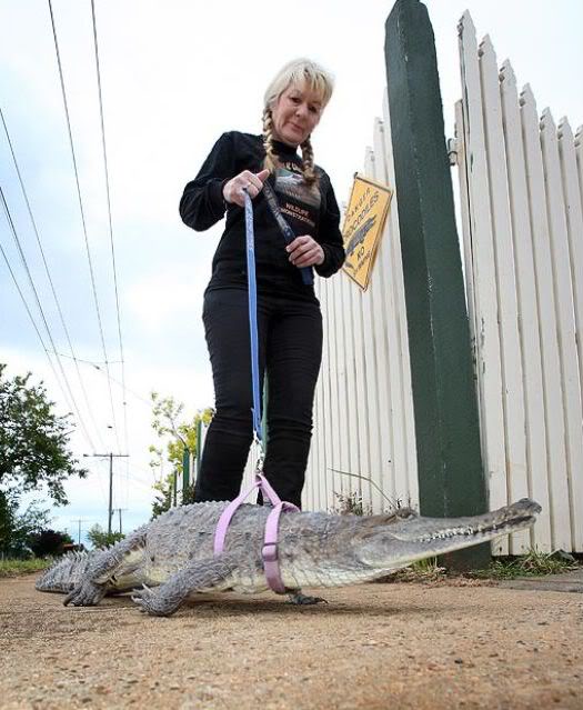 Coisas que não se vê todos os dias strange pet walking 640 04 | Animais | animais, bichos, bizarro, curioso, estranho