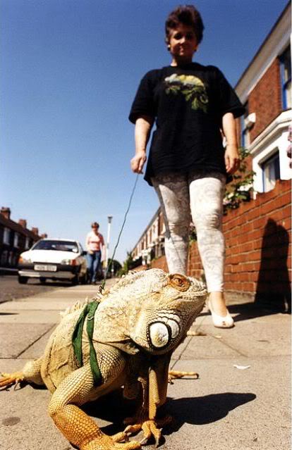 Coisas que não se vê todos os dias strange pet walking 640 08 | Animais | animais, bichos, bizarro, curioso, estranho