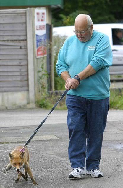 Coisas que não se vê todos os dias strange pet walking 640 09 | Animais | animais, bichos, bizarro, curioso, estranho