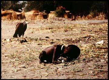 Casa de cachorro ou mansão? vulture | Animais | África, animais, bichos, cachorro, casa, curioso, morte, sinistro