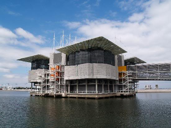 A gestão da babaquice oceanario lisboa | Polêmica | Niterói, polítca, Textos
