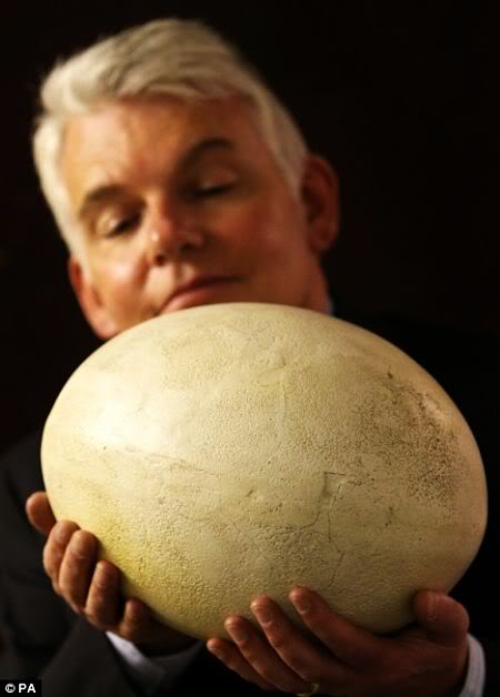 Mundo gigante - Um apanhado de coisas gigantes da web Photobucket