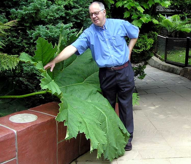 Mundo gigante - Um apanhado de coisas gigantes da web Photobucket