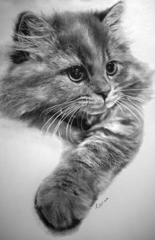 Isso é um desenho a lápis Photobucket