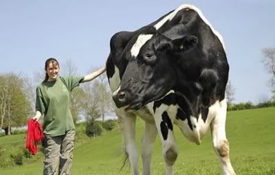 Mundo gigante - Um apanhado de coisas gigantes da web Photobucket