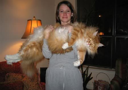 Mundo gigante - Um apanhado de coisas gigantes da web Photobucket