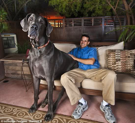 Mundo gigante - Um apanhado de coisas gigantes da web Photobucket