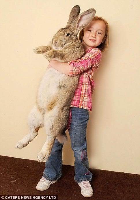 Mundo gigante - Um apanhado de coisas gigantes da web Photobucket