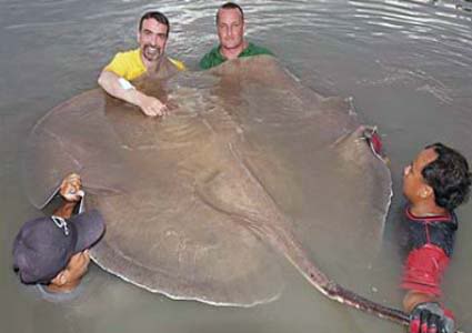 Mundo gigante - Um apanhado de coisas gigantes da web Photobucket