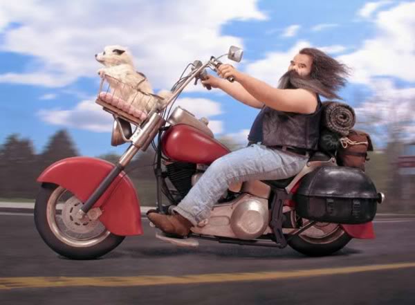 Esculturas realistas de Lisa Lichtenfels Photobucket