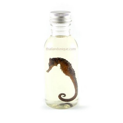 Top 15 bebidas estranhas com bichos mortos dentro seahorsewhiskey | Animais | animais, bichos, china, chinês, curioso, estranho, japão, nojento