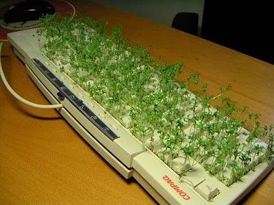 Pegadinhas de escritório Photobucket