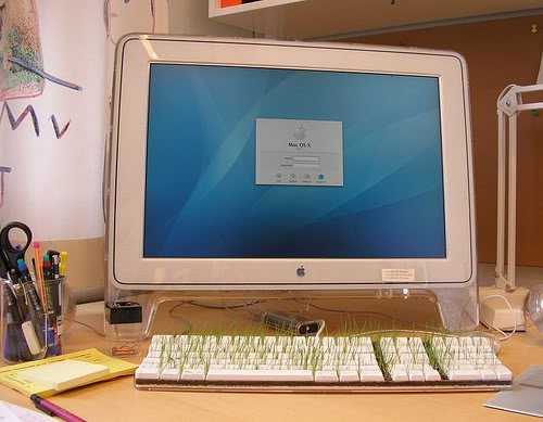 Pegadinhas de escritório Photobucket
