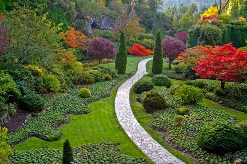 Um jardim bonito Um jardim bonito