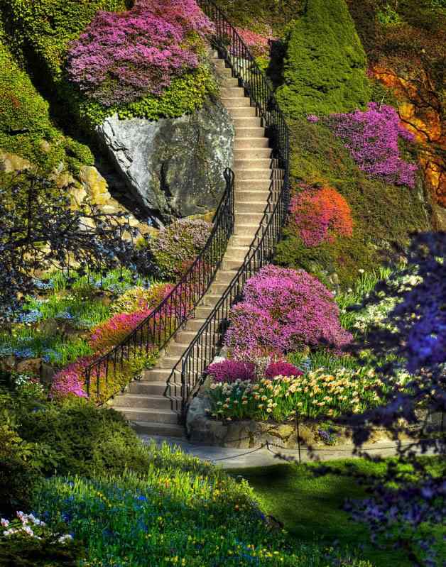 Um jardim bonito Um jardim bonito