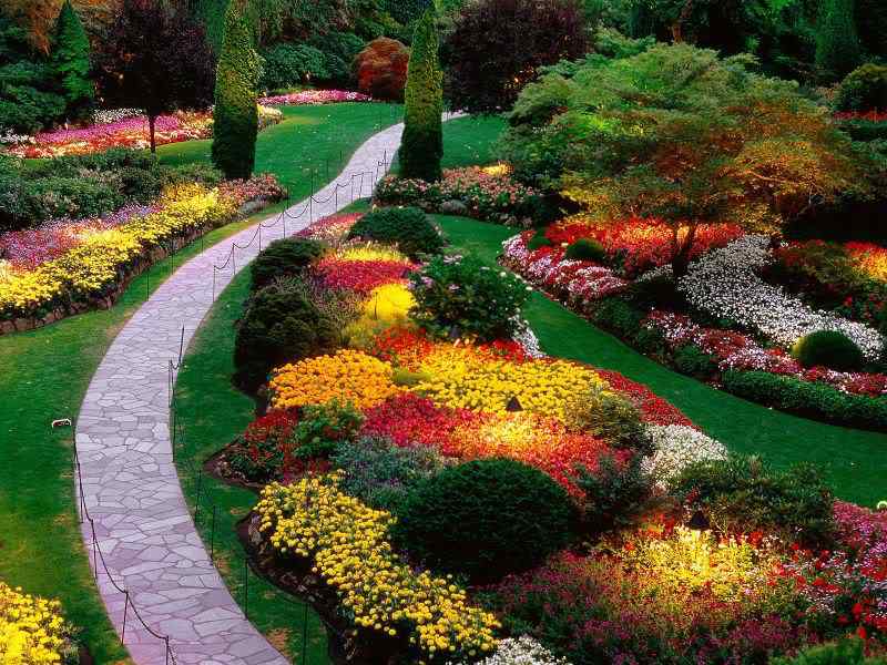 Um jardim bonito Um jardim bonito