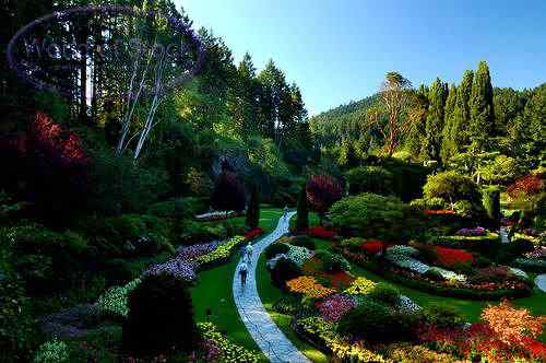 Um jardim bonito Um jardim bonito