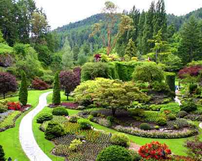 Um jardim bonito Um jardim bonito