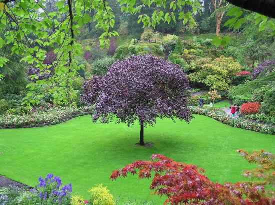 Um jardim bonito Um jardim bonito