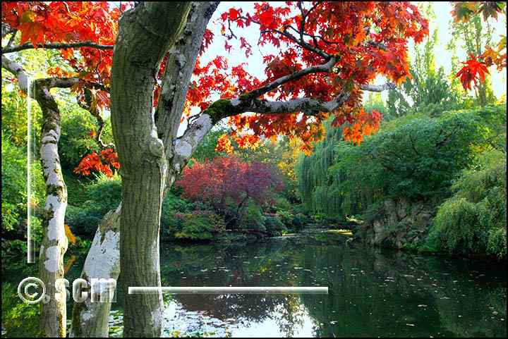 Um jardim bonito Um jardim bonito
