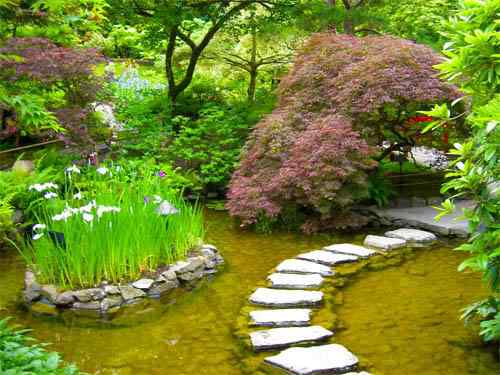 Um jardim bonito Um jardim bonito