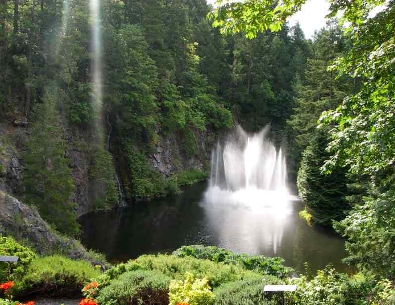 Um jardim bonito Um jardim bonito