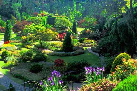 Um jardim bonito Um jardim bonito